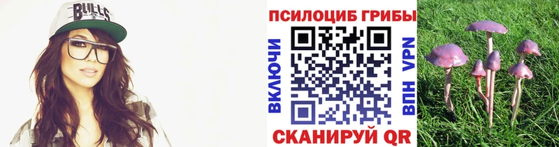 Купить Мурино Галлюциногенные грибы мицелий